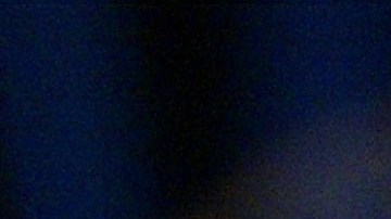 Encuentran nido con más de 100 huevos con embriones de dinosaurio en Argentina