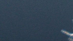 VIDEO: Conmociona crueldad de jóvenes que lanzan gatitos a canal de aguas negras