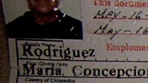 DEMING, NM - JUNE 27: The U.S. Border Patrol displays false identification cards, including fake Social Secruity cards and drivers licences that they have confiscated over the last few years June 27, 2007 in Deming, New Mexico. The U.S. Border Patrol station in Deming is responsible for protecting 47 miles of border and 14,000 square miles of rugged desert and mountain terrain in an area active with smugglers moving people. (Photo by Chip Somodevilla/Getty Images)