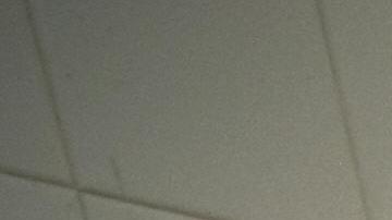 Averías en refrigeración de morgue en México deja ambiente nauseabundo en Acapulco