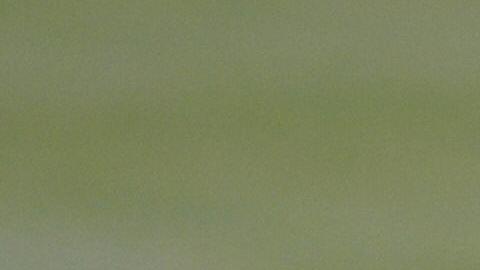 Rafael Márquez y Pep Guardiola
