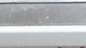 Estos individuos lucraron con alimentos subsidiados para los venezolanos.