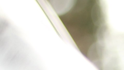 BERLIN - MARCH 23: A gasoline station attendant pumps diesel into a car at a filling station on March 23, 2010 in Berlin, Germany. German President Horst Koehler said on Sunday higher petrol prices is the surest means to convince traditionally car-loving Germans to seek more environmentally-friendly alternatives, and his comment has already sparked the ire of the automobile lobby. (Photo Illustration by Sean Gallup/Getty Images)