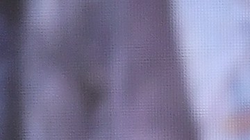 Backstreet Boys se reúnen