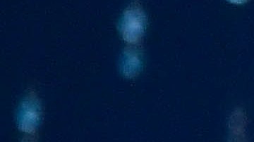 'Nuestra Belleza Latina'