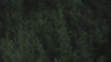 Los manifestantes frente a las oficinas del congresista Jimmy Gómez. (Jorge Macías)