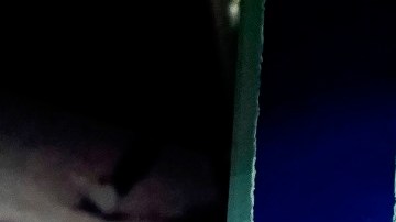 El actual mandatario de las Chivas no ha podido conseguir salir de la crisis