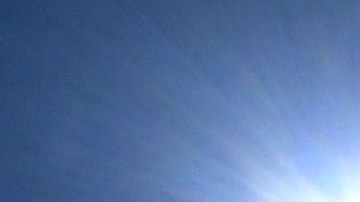 Águilas del América