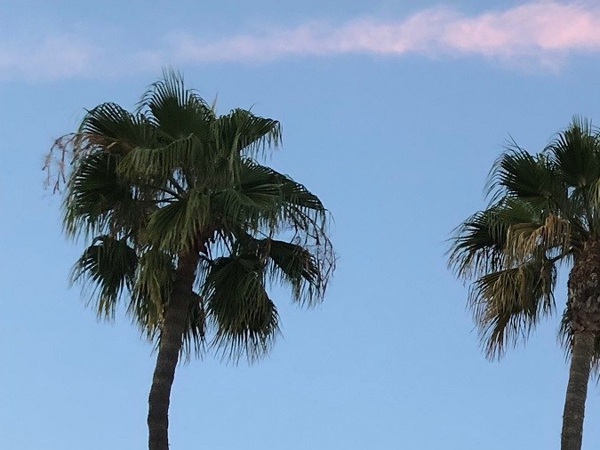 Restaurante In-N-Out