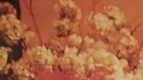 Fallece el actor que interpretaba "Gunther" en Friends.