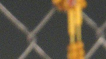 Karol G explota una tarima en sensualidad al presumir una atrevida tanga.