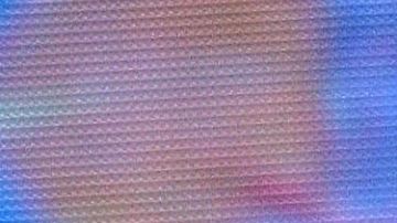 Laura Bozzo de joven