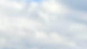 La maestra Martha Santiago te invita a pintar tu alebrije. (Cortesía Xti'Artisan)