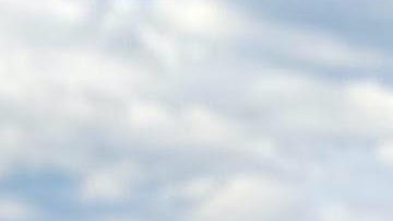 La maestra Martha Santiago te invita a pintar tu alebrije. (Cortesía Xti'Artisan)