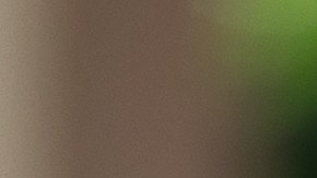 Eduardo and Milly have been sharing their diabetes experience with dQ&A since 2012.