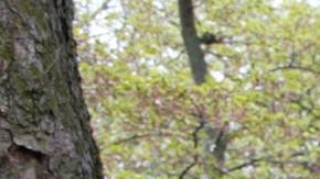 'Ninja' hispano hiere a 2 soldados con su katana al atacar una Unidad del Ejército en California