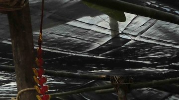 John Kerry y AMLO se reunieron en Chiapas para evaluar el programa "Sembrando Vida".