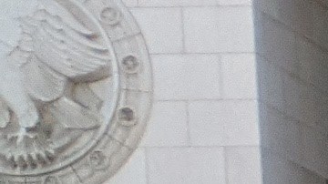 Protesta