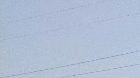 La pestilencia del canal Domínguez ha contaminado a la ciudad de Carson por semanas.