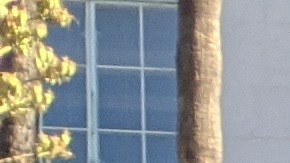 El concejal Curren Price en pie de lucha por mejores salarios para los trabajadores del turismo.(Archivo/Impremedia)