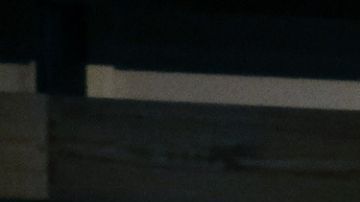 Paola Rojas pone a temblar a Pablo Alborán