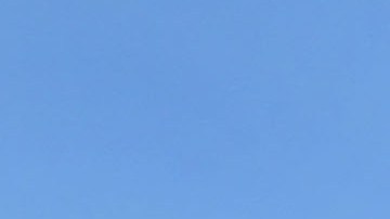 Patrulla Fronteriza arresta a un inmigrante indocumentado condenado por violación e incesto