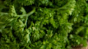 Sopa de pollo y verduras