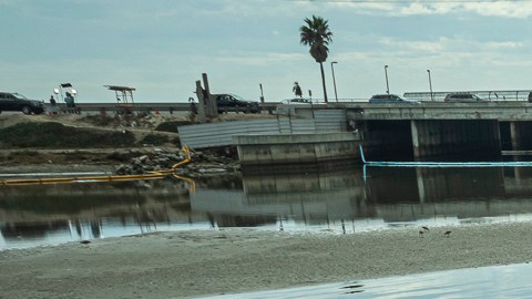 Labores de limpieza de petróleo en la Marisma de Talbert, California.