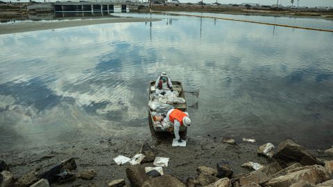 Labores de limpieza de petróleo en la Marisma de Talbert, California.