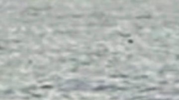 ¿Cuánto se gastó Travis Barker en el anillote de compromiso que le dio a Kourtney Kardashian?