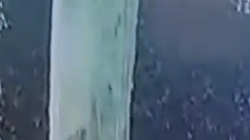 VIDEO: Jovencita es baleada en la cabeza por ladrones y sobrevive milagrosamente