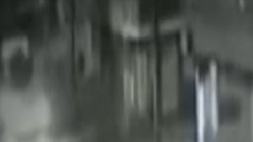 Robo a familia/Encañonan a niña y le roban perrita.