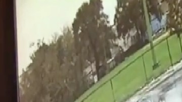 VIDEO: Niña y sus padres sobreviven a ataque a balazos y choque en Chicago.