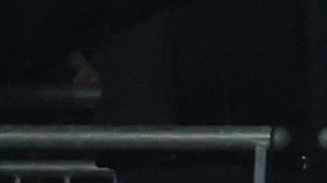 Se reportaron disturbios y peleas entre los aficionados húngaros y la policía de Londres.