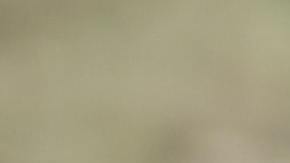 Foto de una persona con las manos sobre el volante