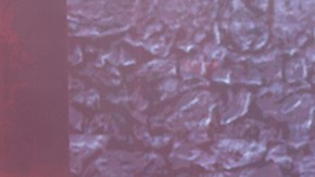 Así Se Baila y los famosos de Halloween