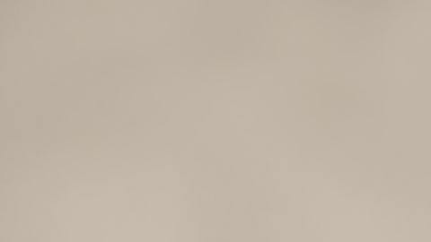 El color blanco simboliza pureza.