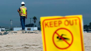 Huntington Beach (United States), 04/10/2021.- A crew member stands next to a sign reading 'Keep Out' as he picks the tar from the beach after an oil spill off the coast of Huntington Beach, California, USA, 04 October 2021. Roughly 126,000 gallons of oil spilled into the Catalina Channel from a pipeline running from the Port of Long Beach to the Elly offshore oil platform. (Estados Unidos) EFE/EPA/ETIENNE LAURENT