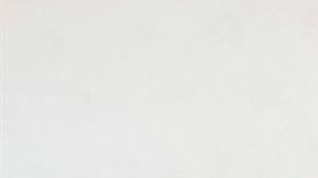 Joe Biden y el papa Francisco.