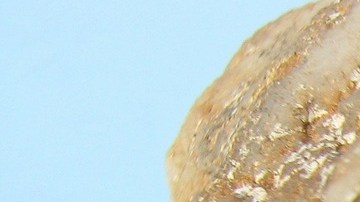 El cuarzo ojo de gato como pulsera.