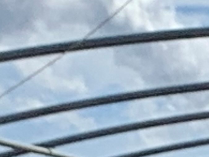 Invernadero de cultivo de marihuana