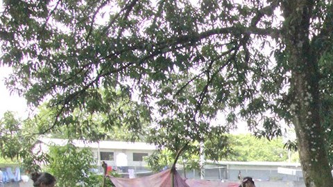 Migrantes descansan antes de retomar su marcha en caravana rumbo a la Ciudad de México.