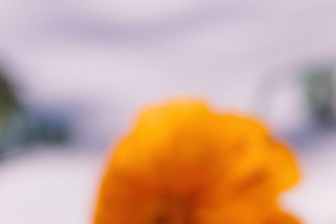 La flor de cempasúchil es icónica del Día de Muertos.