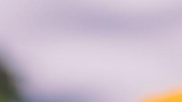 La flor de cempasúchil es icónica del Día de Muertos.