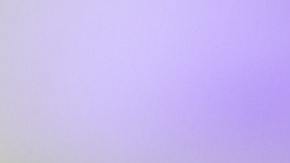 Las garrapatas en los sueños representan una sensación de incomodidad.