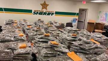 Imagen de la gran cantidad de droga incautada y almacenada en las instalaciones policiales del condado de Brevard, en Florida.