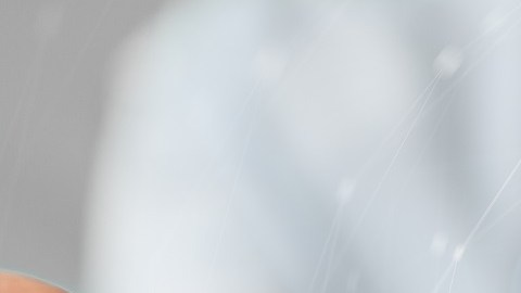 microbiota intestinal