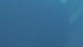 Foto de un hombre conduciendo un auto