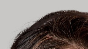 Verónica Montes, Gaby Spanic, Roberto Romano y Manelyk González