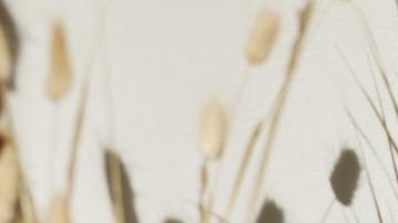 El sol ayuda a eliminar la energía negativa de la ropa.